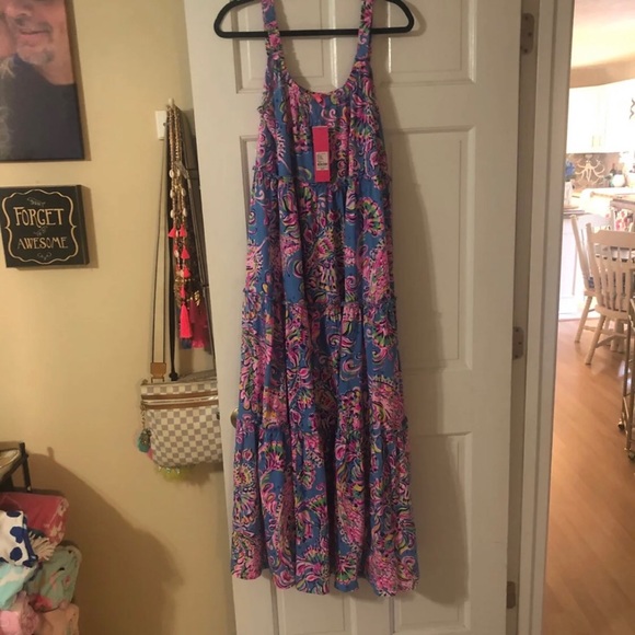 Lilly Pulitzer Dresses & Skirts - NWT Lilly Pulitzer Loro Maxi